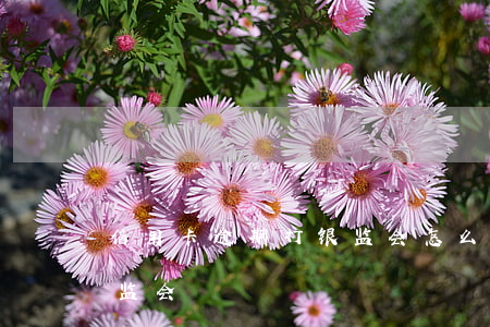 信用卡逾期打银监会怎么说(银行催款投诉银监会)