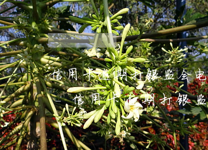 信用卡逾期打银监会电话可以减免违约金吗-信用卡逾期打银监会电话可以减免违约金吗
