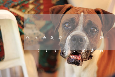 信用卡逾期打電子郵件-欠信用卡郵箱收到報(bào)案通知