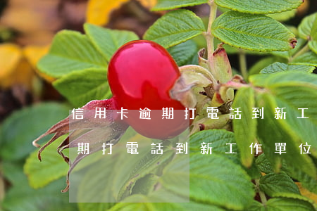 信用卡逾期打電話到新工作單位-信用卡逾期打電話到新工作單位有影響嗎