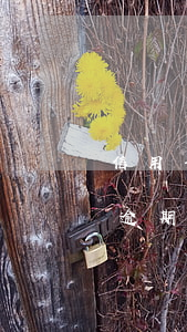 信用卡逾期打電話打到家里合法嗎-信用卡逾期打電話打到家里合法嗎安全嗎