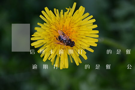 信用卡逾期打電話的是催賬公司嗎-信用卡逾期打電話的是催賬公司嗎是真的嗎