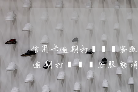 信用卡逾期打電話給客服能消除嗎-信用卡逾期打電話給客服能消除嗎安全嗎