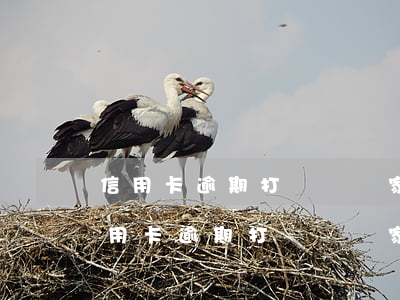 信用卡逾期打電話給家人催款如何投訴-信用卡逾期打電話給家人催款如何投訴他