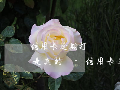 信用卡逾期打電話說(shuō)上門取證是真的嗎-信用卡逾期打電話說(shuō)上門取證是真的嗎嗎