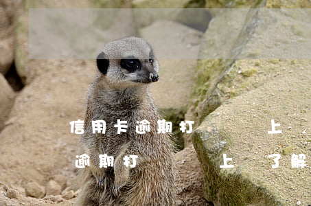 信用卡逾期打電話說上門了解情況-信用卡逾期打電話說上門了解情況是真的嗎