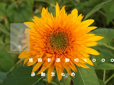 信用卡逾期扣3000多(信用卡3000元逾期怎么办)