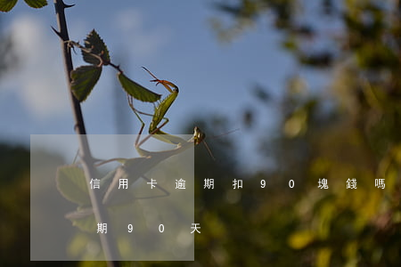 信用卡逾期扣90塊錢嗎(信用卡五千塊錢逾期90天)