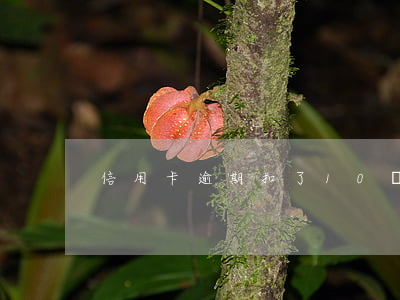信用卡逾期扣了10塊錢