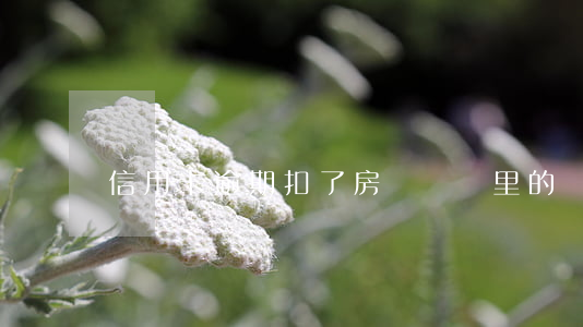 信用卡逾期扣了房貸賬戶里的錢