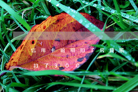 信用卡逾期扣了房貸賬戶里的錢（信用卡逾期扣了300）