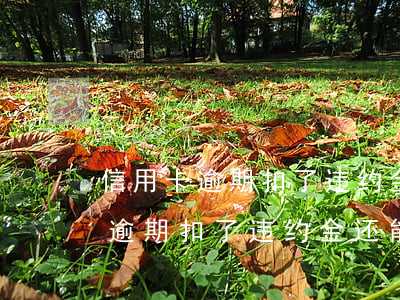 信用卡逾期扣了违约金还能划扣吗-信用卡逾期扣了违约金还能划扣吗多少钱