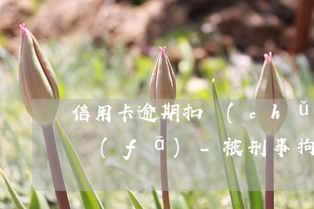 信用卡逾期扣儲(chǔ)蓄卡錢怎么辦浦發(fā)-被刑事拘留導(dǎo)致銀行信用卡逾期怎么辦