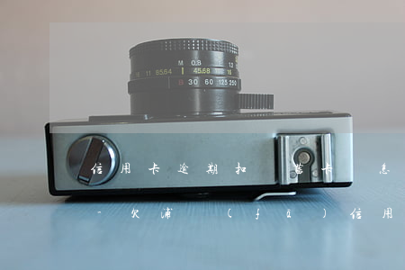 信用卡逾期扣儲蓄卡錢怎么辦浦發(fā)-欠浦發(fā)信用卡的錢會扣銀行卡里的錢嘛