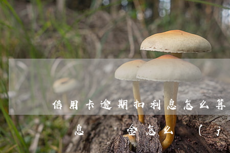 信用卡逾期扣利息怎么算(信用卡利息和逾期罰息違約金怎么計(jì)算)