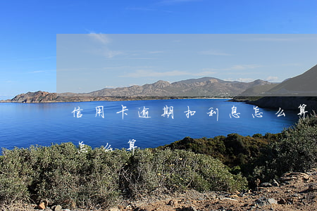 信用卡逾期扣利息怎么算(逾期的信用卡利息怎么算)