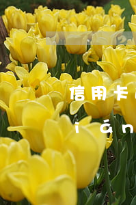 信用卡逾期扣到儲(chǔ)蓄卡里錢(qián)怎么辦-信用卡逾期扣到儲(chǔ)蓄卡里錢(qián)怎么辦理