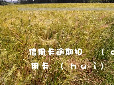 信用卡逾期扣劃儲(chǔ)蓄卡(逾期的信用卡會(huì)從其他的儲(chǔ)蓄卡里扣嗎)