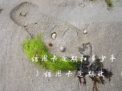 信用卡逾期扣多少手續(xù)費(fèi)(信用卡逾期收費(fèi)標(biāo)準(zhǔn))