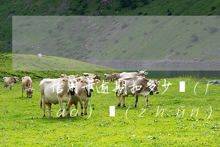 信用卡逾期扣多少費(fèi)用標(biāo)準(zhǔn)(信用卡逾期扣多少費(fèi)用標(biāo)準(zhǔn))
