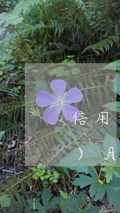 信用卡逾期扣多少錢(信用卡逾期一個(gè)月逾期費(fèi)多少費(fèi)用)