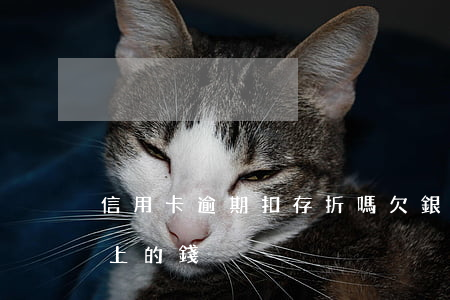 信用卡逾期扣存折嗎(欠銀行信用卡扣除存折上的錢)