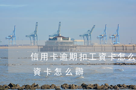 信用卡逾期扣工資卡怎么辦(信用卡逾期扣工資卡怎么辦)