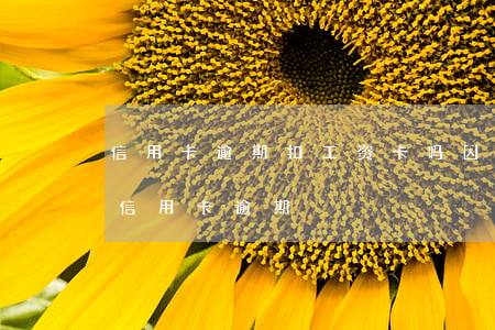 信用卡逾期扣工资卡吗(因公司拖欠工资导致信用卡逾期)