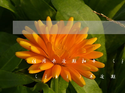 信用卡逾期扣年費(fèi)嗎(銀行卡年費(fèi)算逾期嗎)