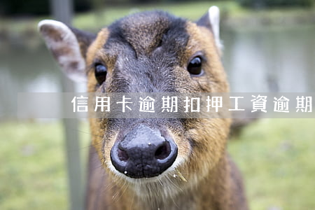 信用卡逾期扣押工資(逾期銀行扣工資合法嗎)