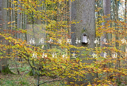 信用卡逾期扣的利息還能要回嗎嗎（信用卡逾期扣的利息還能要回嗎）