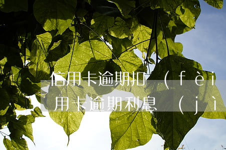 信用卡逾期扣費(fèi)計(jì)算(信用卡逾期利息計(jì)算)