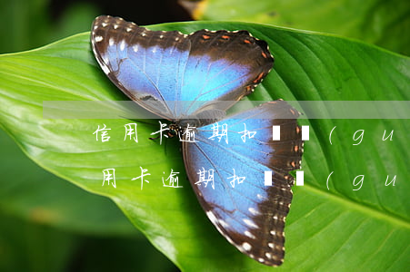 信用卡逾期扣費規(guī)定多久到賬（信用卡逾期扣費規(guī)定多久）