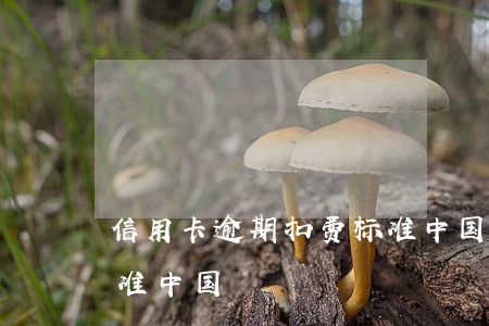 信用卡逾期扣费标准中国（信用卡逾期扣费标准中国）