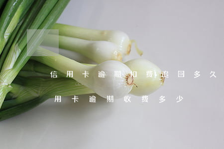 信用卡逾期扣费追回多久(法律有没有规定信用卡逾期收费多少)