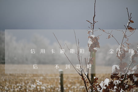 信用卡逾期扣違約金 信用卡逾期扣違約金,征信貸不到款吧