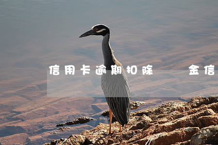 信用卡逾期扣除違約金(信用卡 違約金 滯納金)