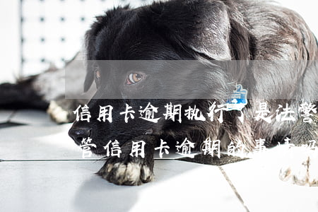 信用卡逾期执行了是法警来吗 当地司法局会管信用卡逾期的事情吗