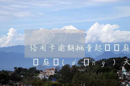信用卡逾期批量起訴開庭流程(被信用卡起訴開庭當(dāng)天宣判嗎)