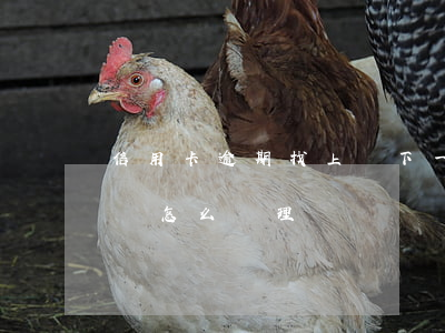 信用卡逾期找上門下一步(銀行信用卡逾期上門怎么處理)