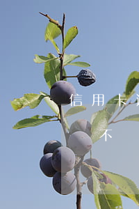 信用卡逾期找上門可以投訴嗎(欠信用卡不還會不會找上門)