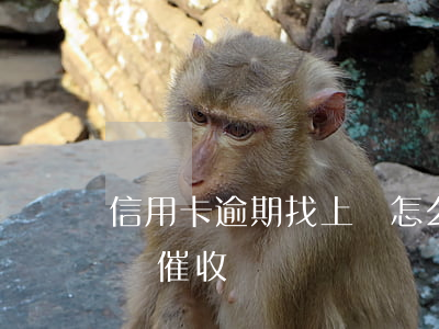 信用卡逾期找上門怎么處理(欠信用卡逾期上門催收)