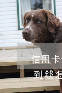 信用卡逾期找不到人借錢(信用卡逾期又借不到錢怎么辦)