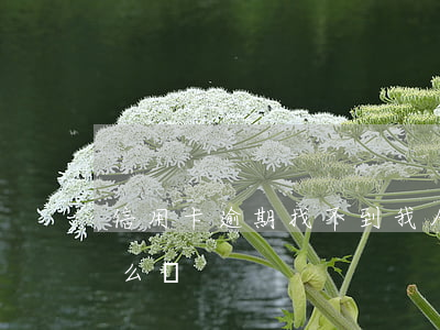 信用卡逾期找不到我人(欠信用卡找不到人怎么辦)