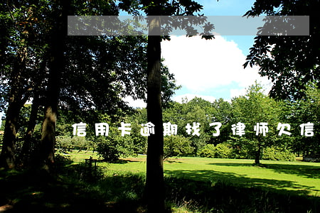 信用卡逾期找了律师(欠信用卡如何找律师)