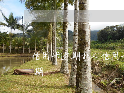 信用卡逾期找人(信用卡逾期找人辦理停息分期)