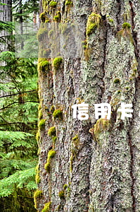 信用卡逾期找人幫還(信用卡逾期找人幫還)