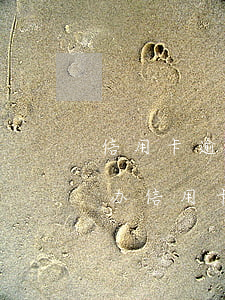 信用卡逾期找人能办下来是真的吗(有逾期想办信用卡)