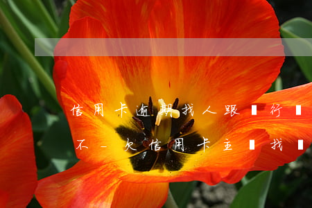 信用卡逾期找人跟銀行協(xié)商靠譜不-欠信用卡主動找銀行協(xié)商