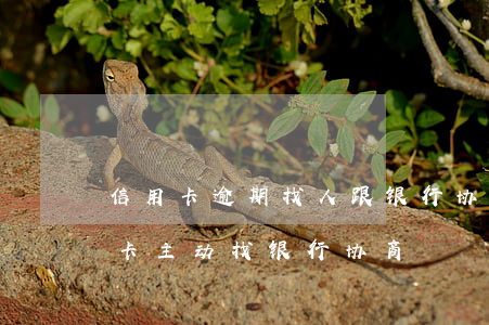 信用卡逾期找人跟银行协商靠谱不-欠信用卡主动找银行协商